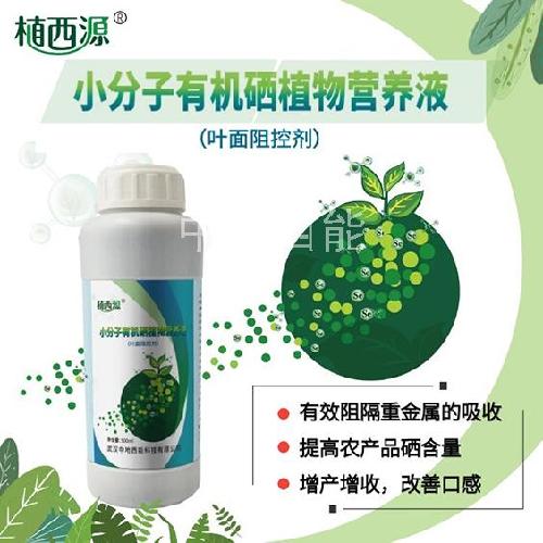 灏忓垎瀛愭湁姗熺妞嶇墿鐕熼(y菐ng)娑诧紙钁夐潰闃绘帶鍔戯級